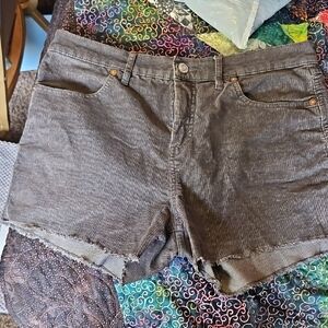 Women’s Charcoal Gray  Corduroy Cutoff Shorts